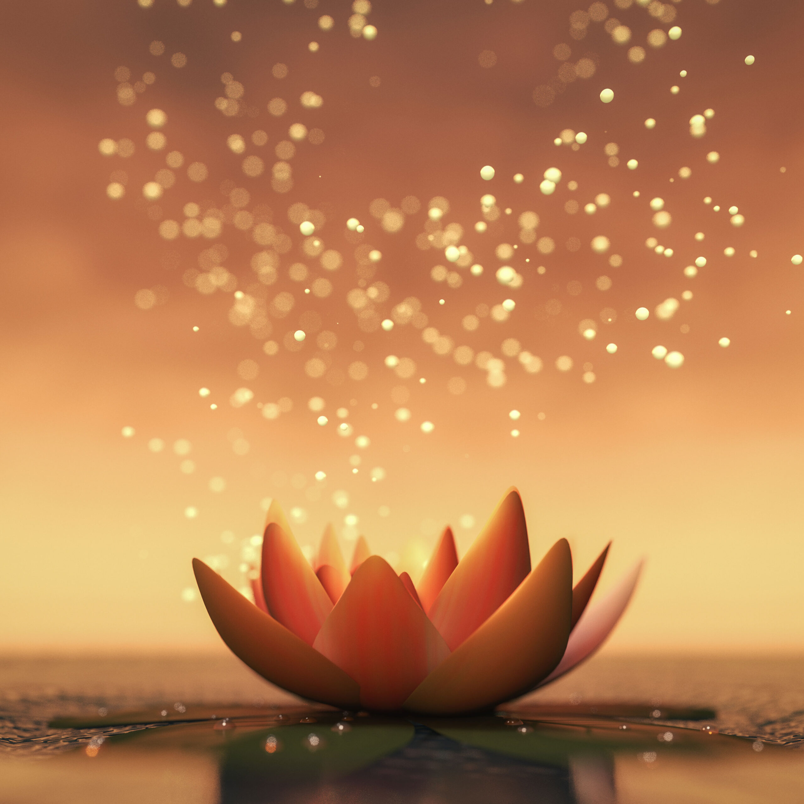 lotus-orange lotus orangefarben vor einem orange-gelben Hintergrund mit glitzernden, aufsteigenden Partikeln